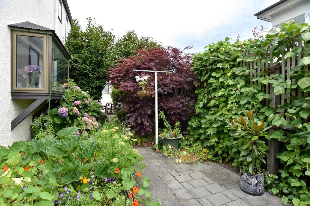 Salisbury Apartment - Christchurch Holiday Homes Zewnętrze zdjęcie